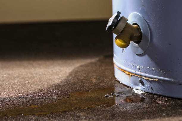 Best Basement water damage restoration  in Stuart, VA