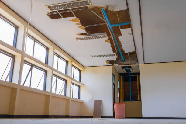 Best Flood damage cleanup  in Stuart, VA