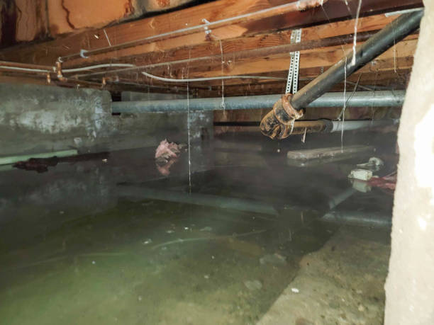 Sewage cleanup and water damage restoration in Stuart, VA