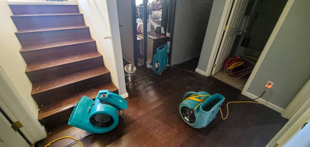 Best Local water damage restoration  in Stuart, VA