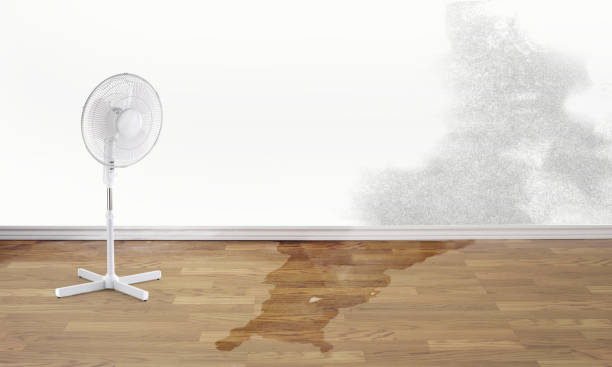 Best Emergency water damage restoration  in Stuart, VA