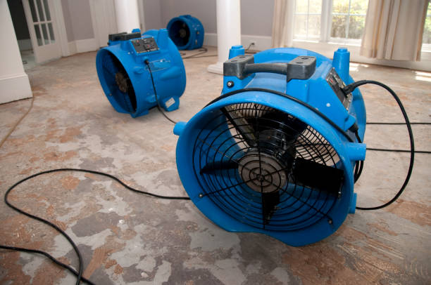 Best Water damage restoration company  in Stuart, VA