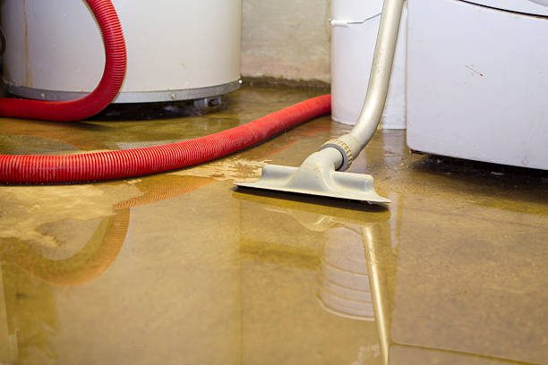 Best Commercial water damage restoration  in Stuart, VA
