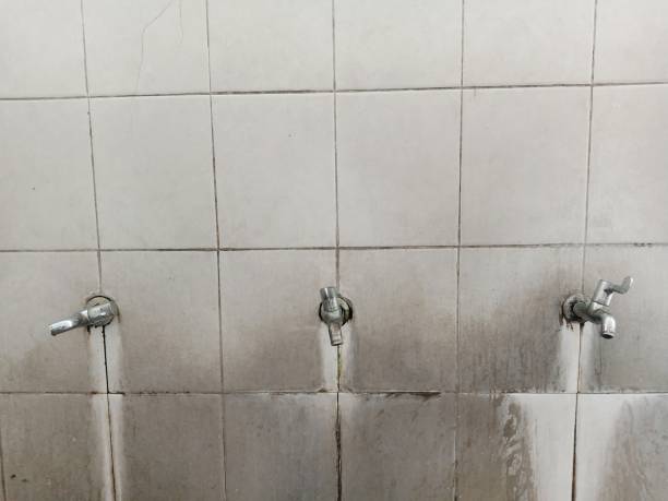 Best Ceiling water damage repair  in Stuart, VA